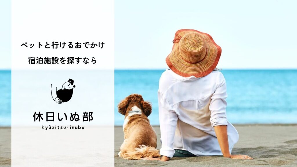 the Viewシリーズが休日いぬ部で紹介されました
