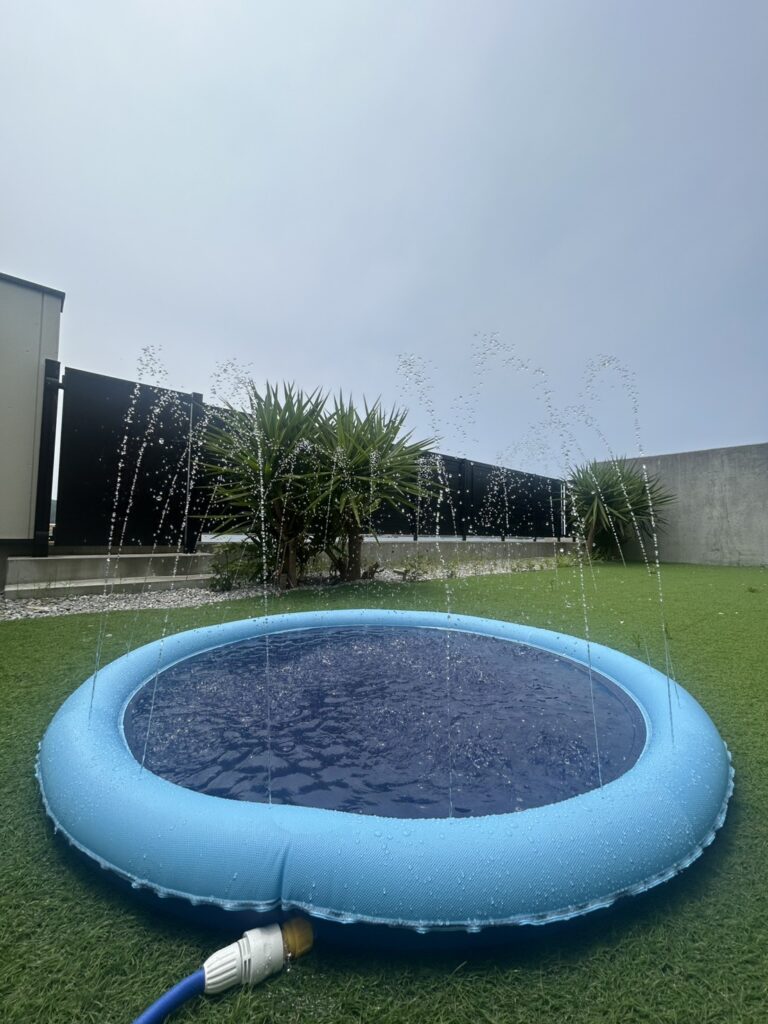 the View 三浦市晴海町 わんちゃん用噴水マットプール 浅型ペット用プール