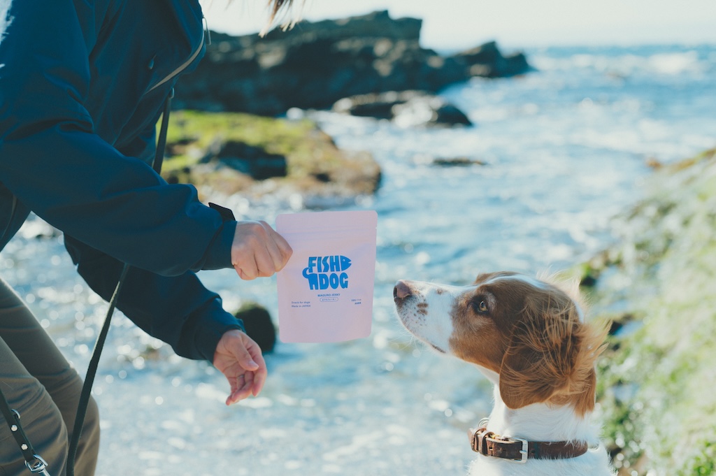 the View 三浦市晴海町で愛犬とFISHDOGのまぐろジャーキーを楽しむ様子(撮影地:城ヶ島)